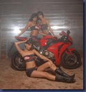 Bikesure babes will be at BMF Show  16th and 17th May 2009