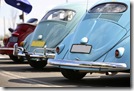 VW Beetles